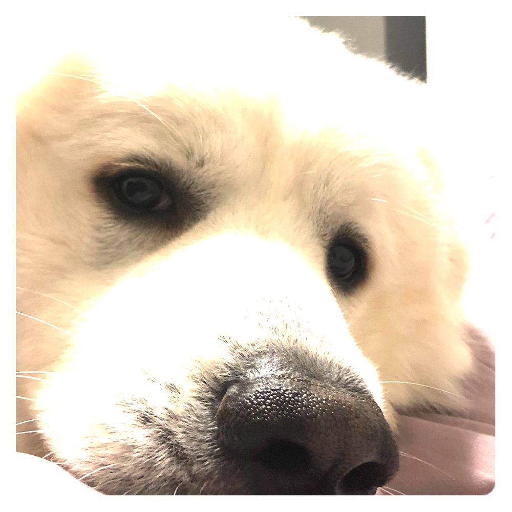 Meet your Posher, Ting